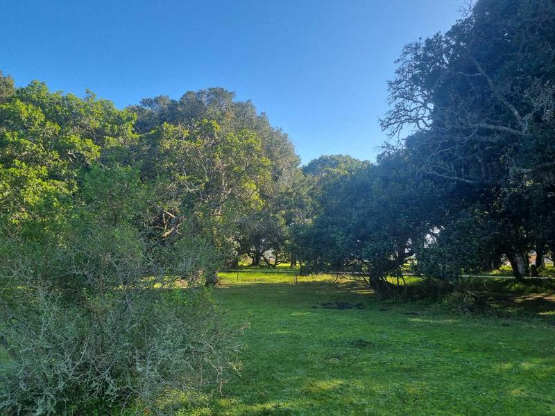 0 Bedroom Property for Sale in Brenton On Lake Western Cape